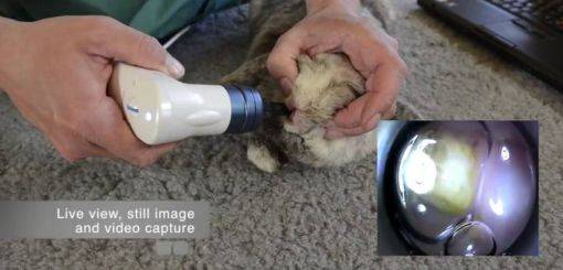 KRUUSE | UB CAM Pro Videoscope