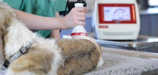 KRUUSE | Class IV Laser Therapy