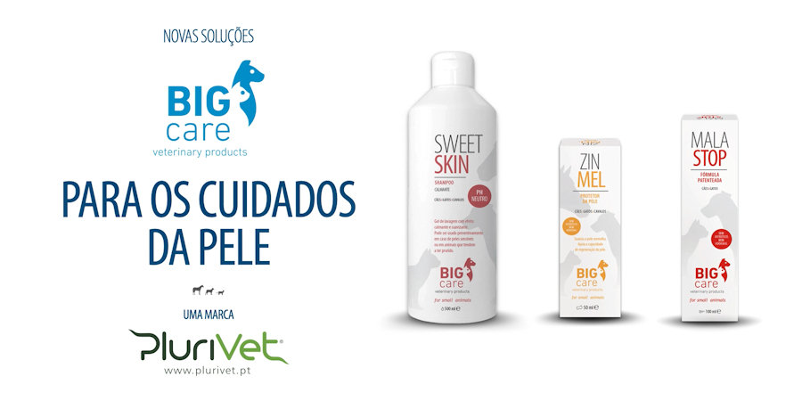 Novas soluções Big Care para os cuidados da pele.