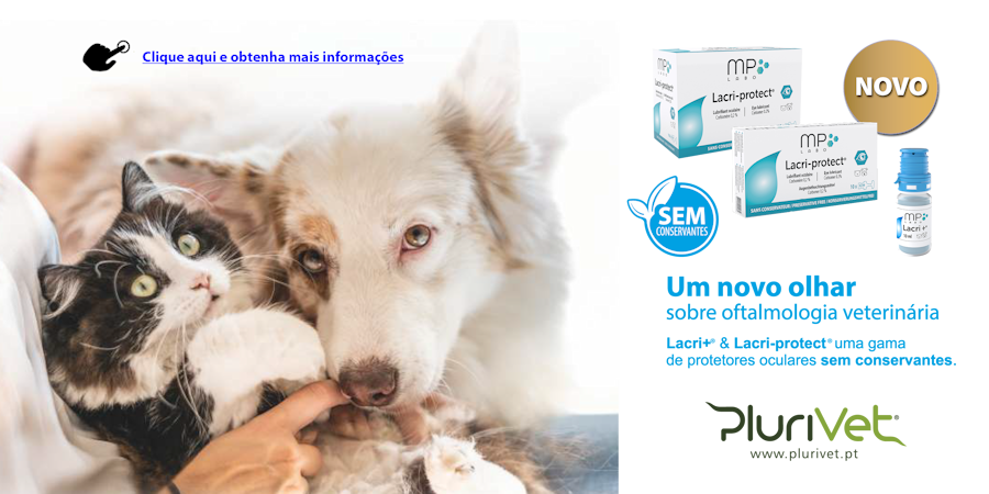 VET TEMP 2 – Aquecedor de fluídos