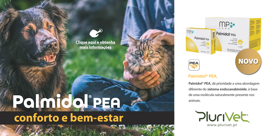 A Plurivet lança nova marca própria: BIG CARE