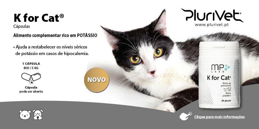 K for Cat® – Alimento complementar rico em potássio para cães e gatos