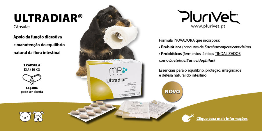 Ultradiar® – Uma solução completa para a saúde intestinal de cães e gatos