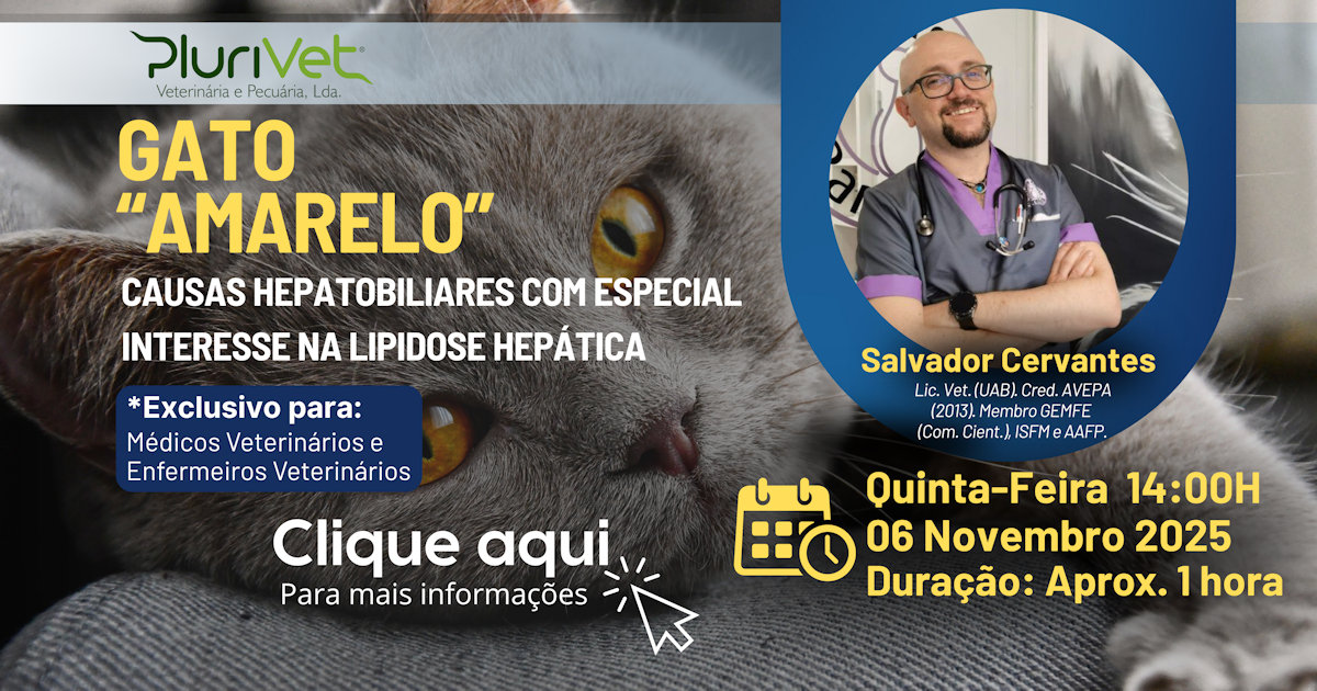 Webinar Grátis | 6 de novembro “O gato amarelo: causas hepatobiliares com especial interesse na lipidose hepática”
