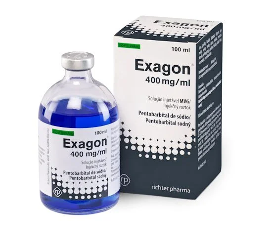 Exagon
